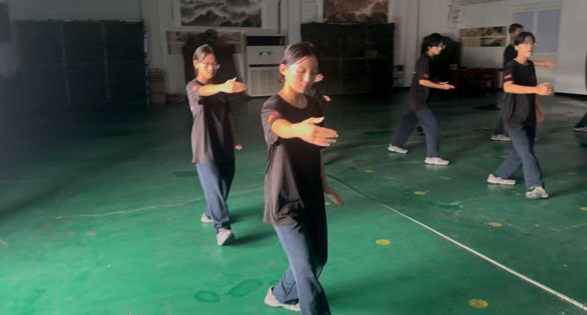 《刚柔并济：特训学校的太极拳素养课》